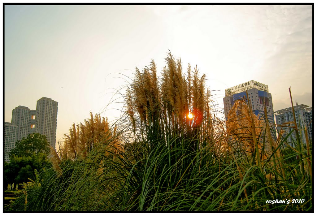 Yangtze Riverside Park by roshan202