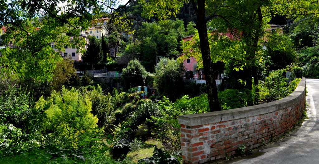 Cafaggio di Ameglia - settembre 2010 by Paolo Motta