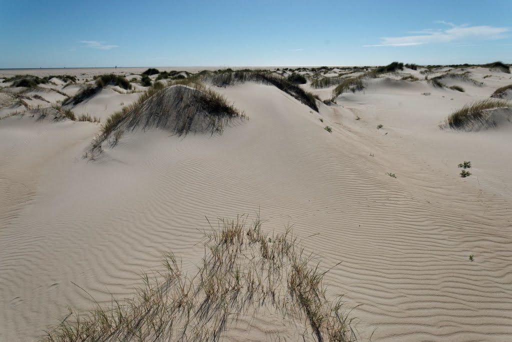 Texel - De Hors - View SW by txllxt TxllxT