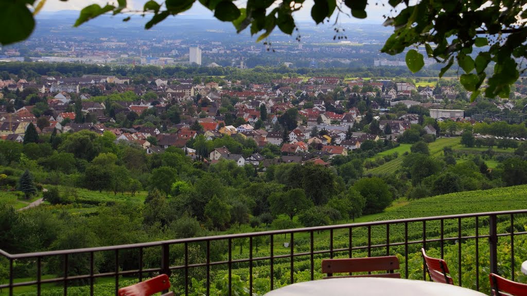 Vue sur Haltingen by Pierre  Likissas