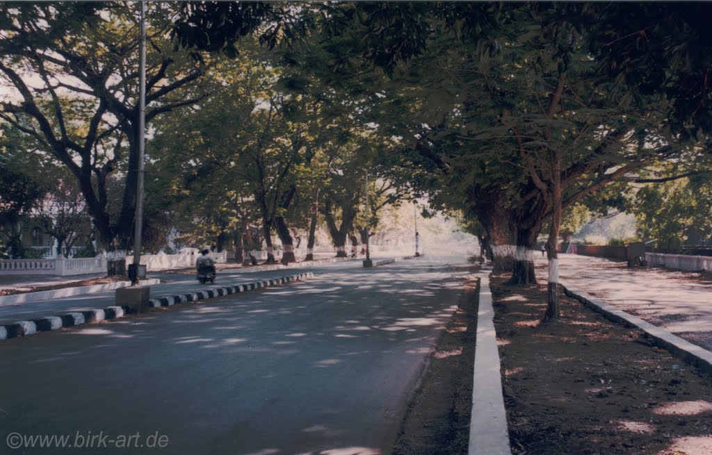 Quiet shady street, Old Goa, India by Bastian Birkenhäger