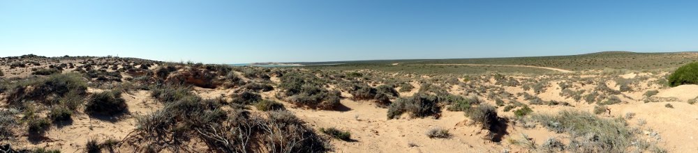 Shark Bay by takuto2010