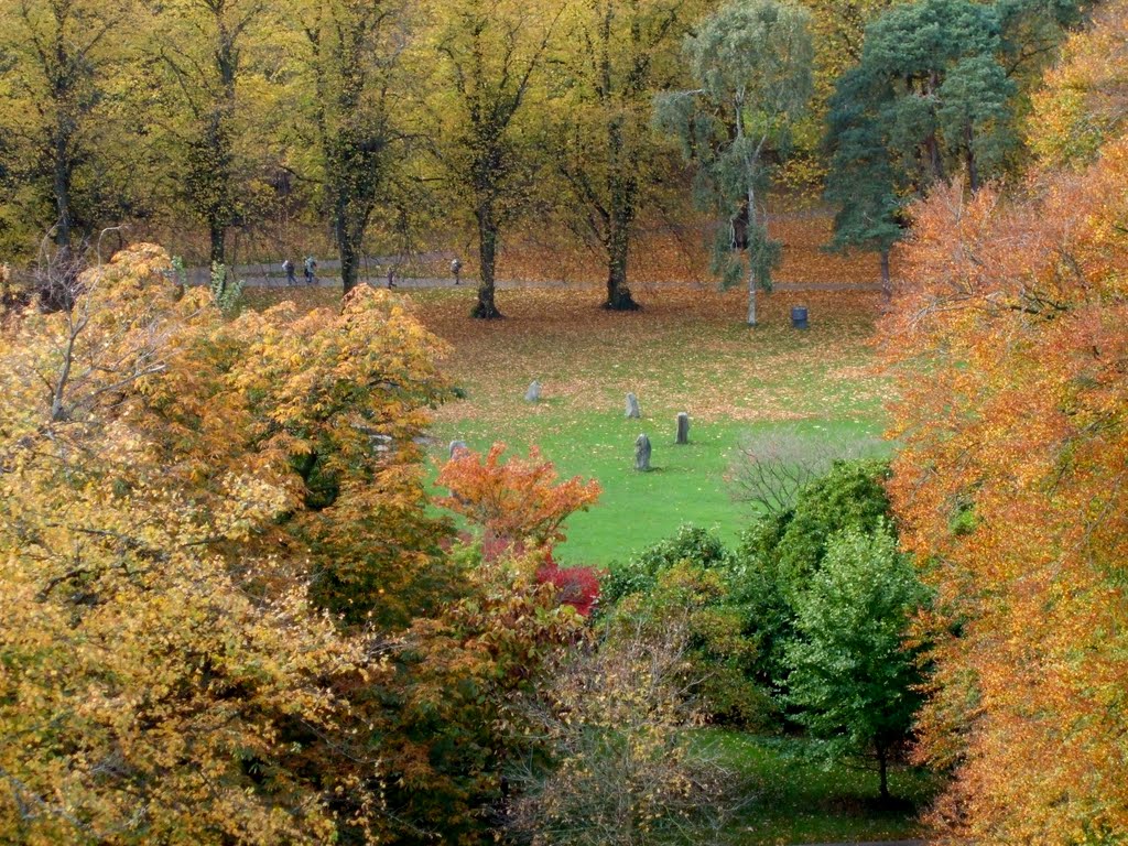 Autumn Trees, Cardiff Castle, Cardiff by rustyruth