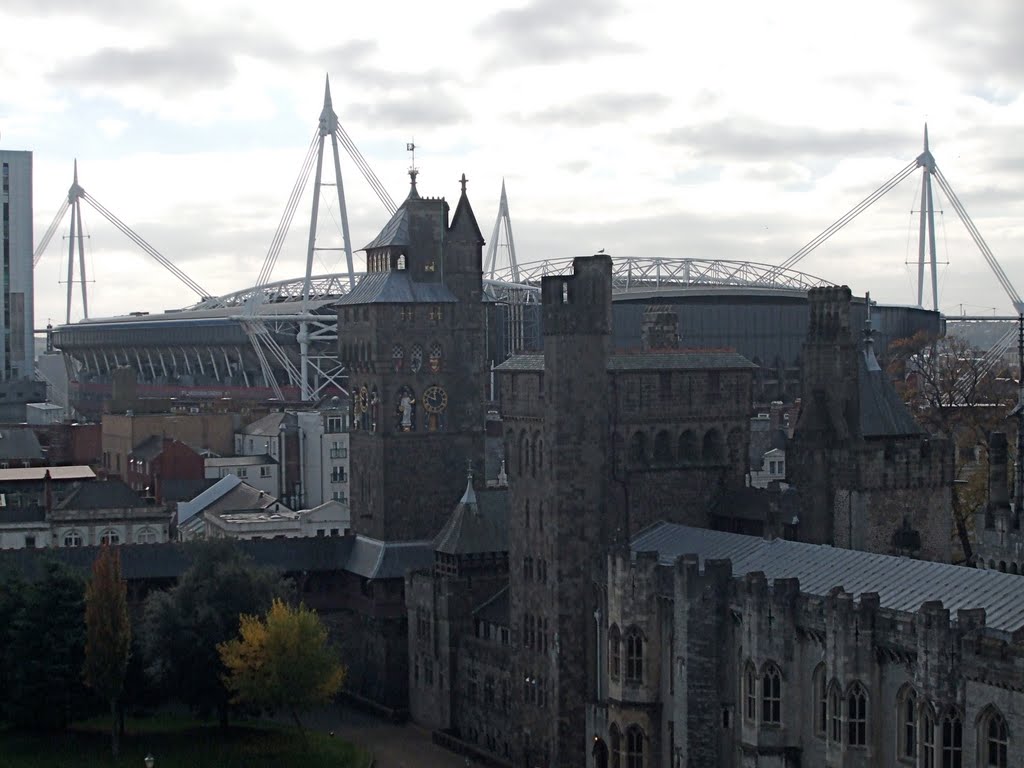 Millenium Stadium from the Castle, Cardiff, Wales by rustyruth