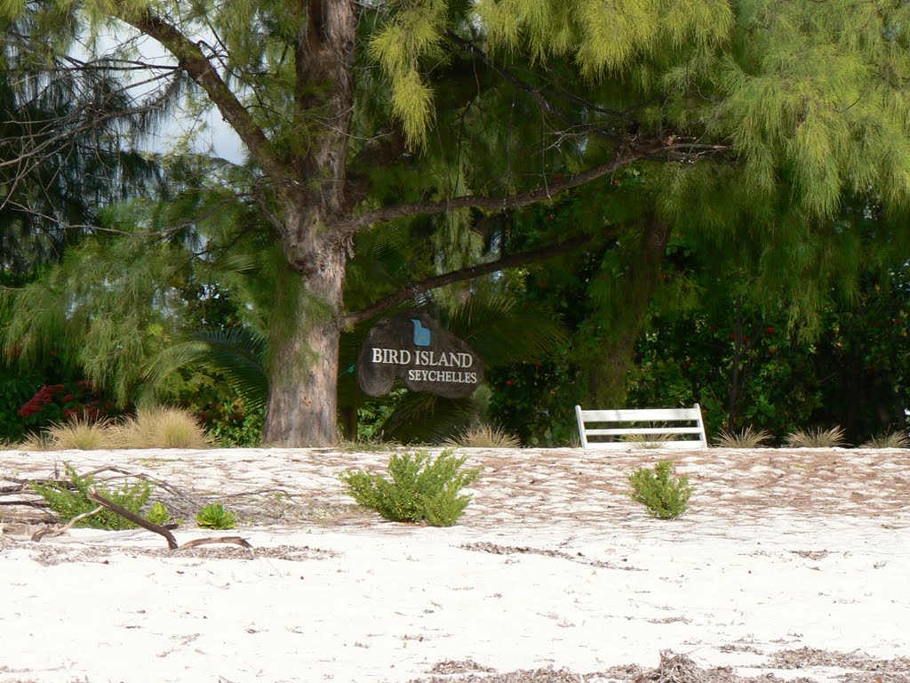 Bird Island Seychelles by tyulenin