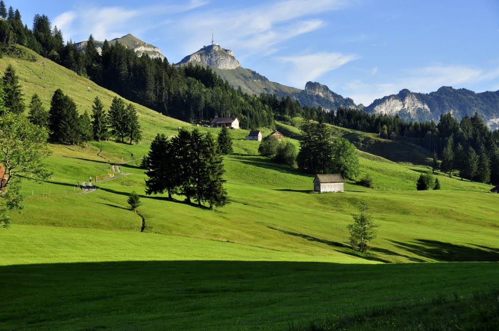 Eggli Chäsmoos mit Hoher-Kasten by Johann Kölbener