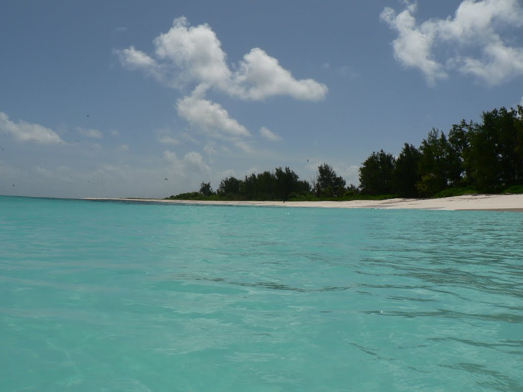 Bird Island / Seychelles by tyulenin