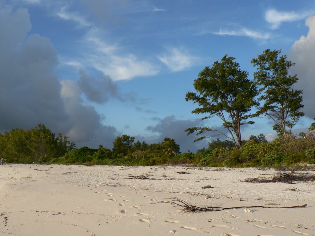 Bird Island / Seychelles by tyulenin