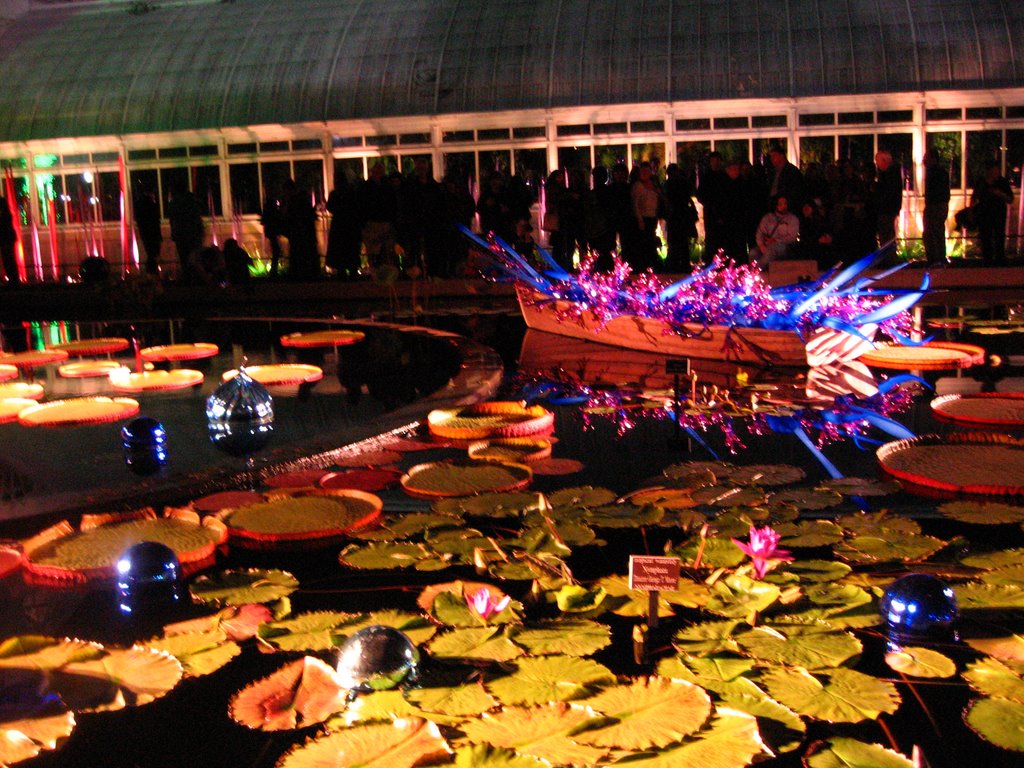 Pond installation Chihuly 2006 by monc