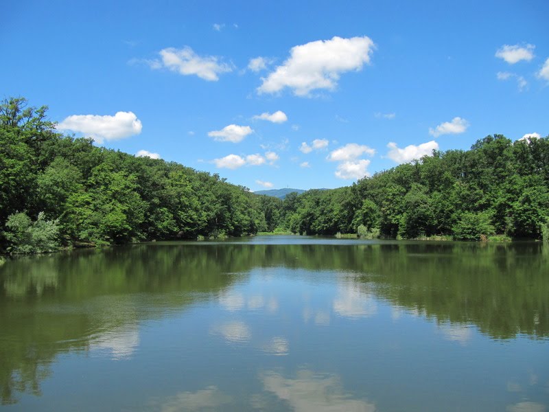 Maksimir peto jezero by Miroslav Matejaš