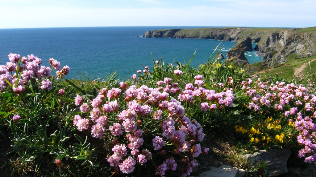 The coast at Bedruthan Steps by jayembee1969