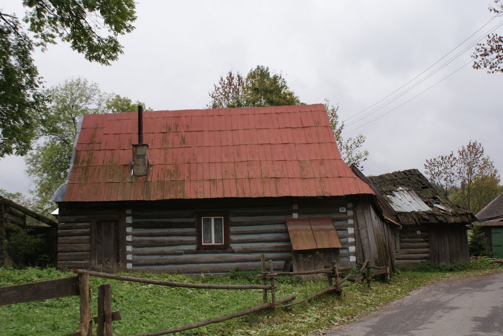 Osturna House by Dmitriy Tkachenko