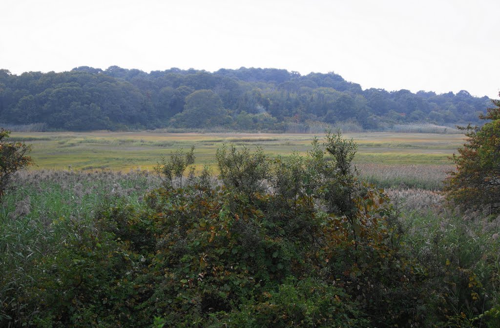 Brewster Conservation Land, near Indian Well by Uriah Prichard