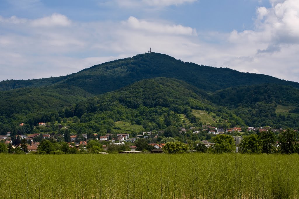 Zwingenberg und Melibokus by Hans Schulder