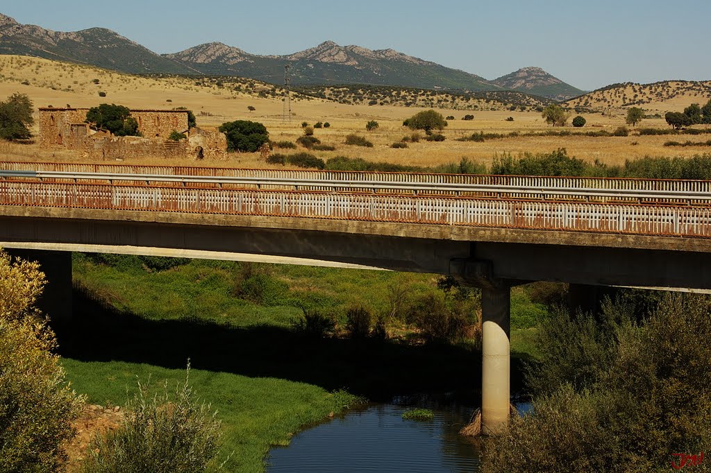 Puente sobre el rio Valdeazogue. N-502 by juanmaherruzo