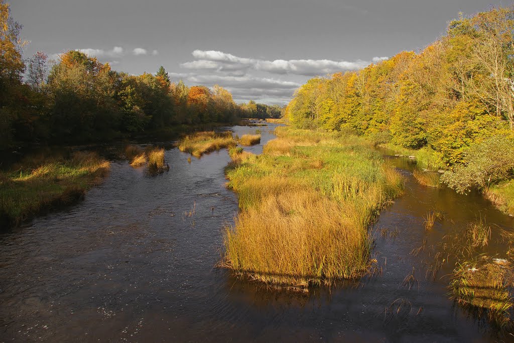 Vaade Jõesuu sillalt by Oskar Susi