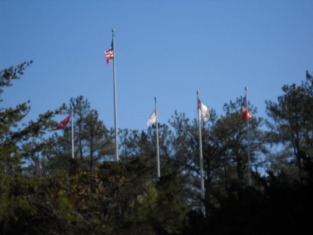 Flags of the Confederacy by Mr Brazil