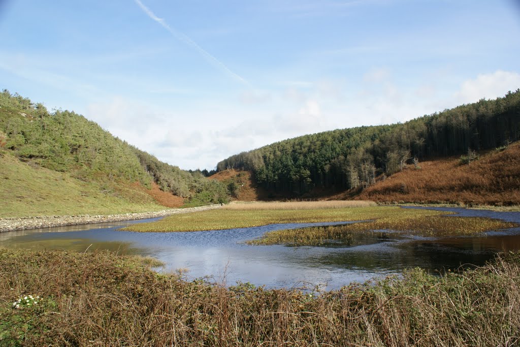 Llyn Y Fydlyn by Bigdutchman