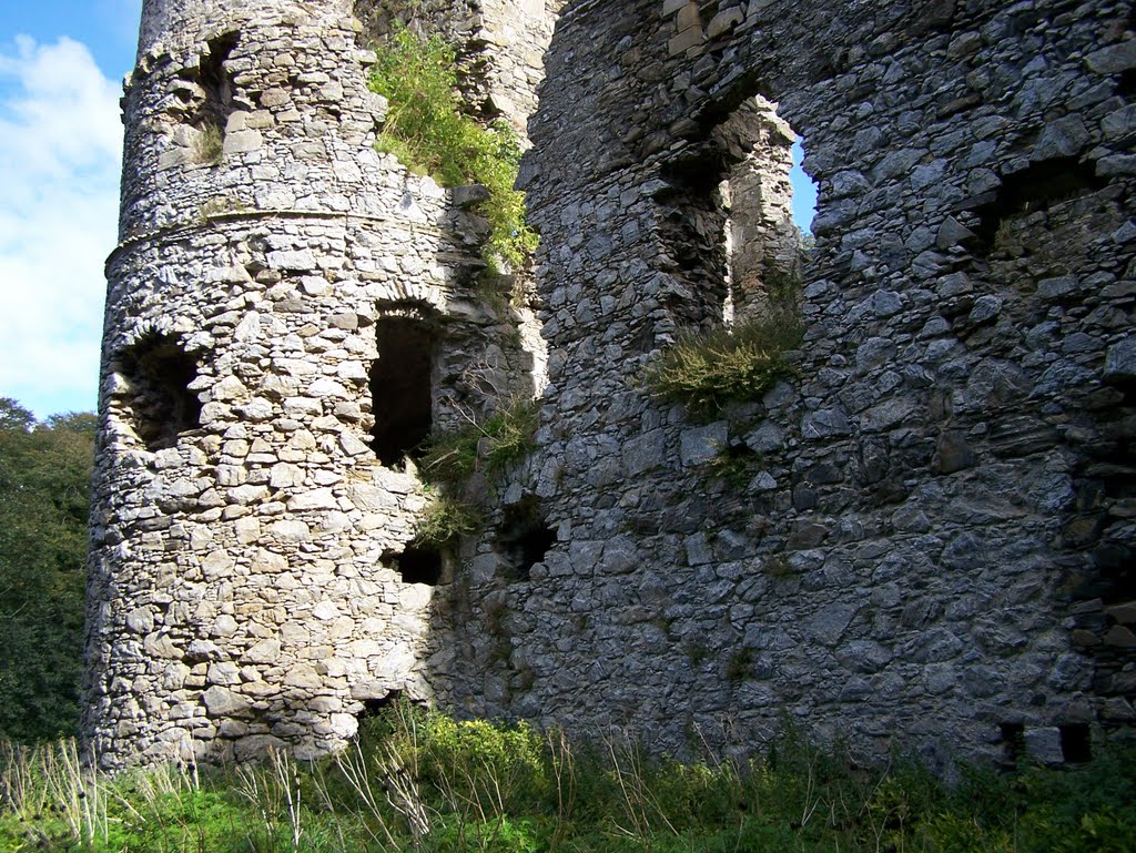 Part of the North tower, Boyne Castle on Sunday the 26th day of September 2010. by Gilbert Smith