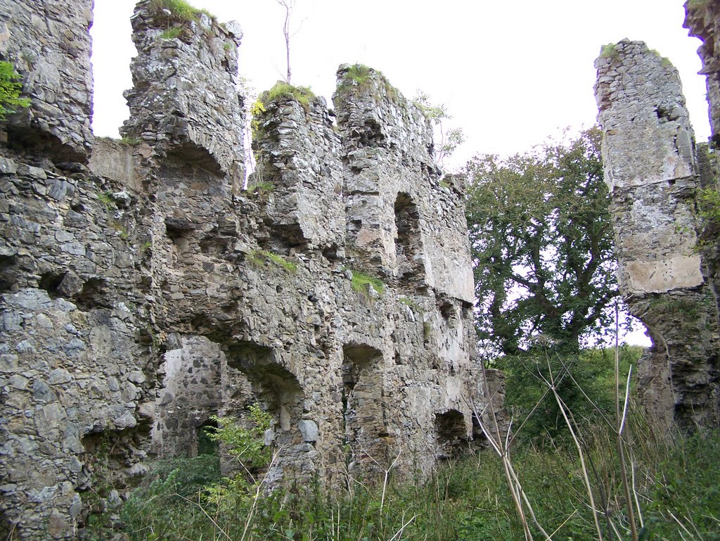 Boyne Castle on Sunday the 26th day of September 2010. by Gilbert Smith