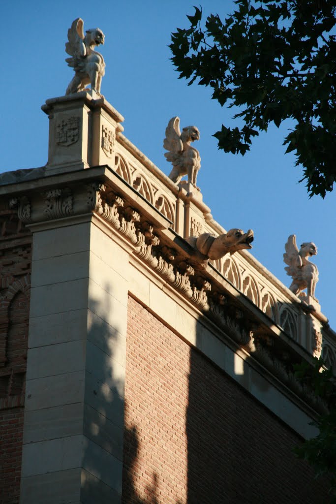 Detalle gargolas del Torreón de Tenorio by G.P.O