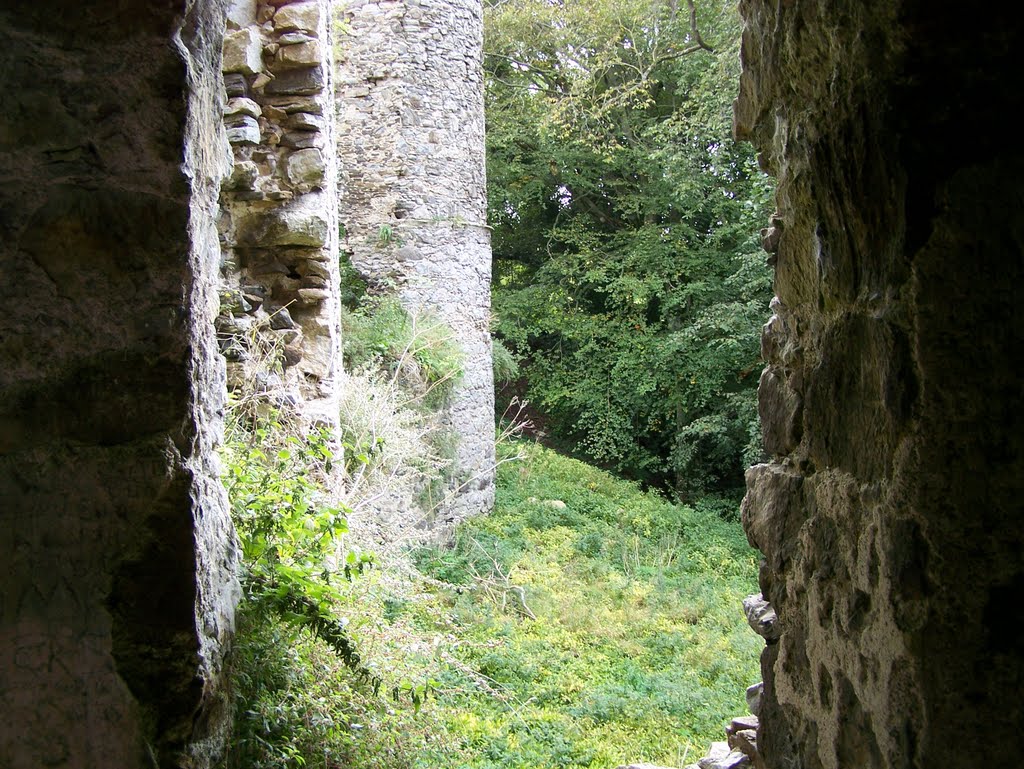 Looking South from the North tower at the Boyne Castle on Sunday the 26th day of September 2010. by Gilbert Smith