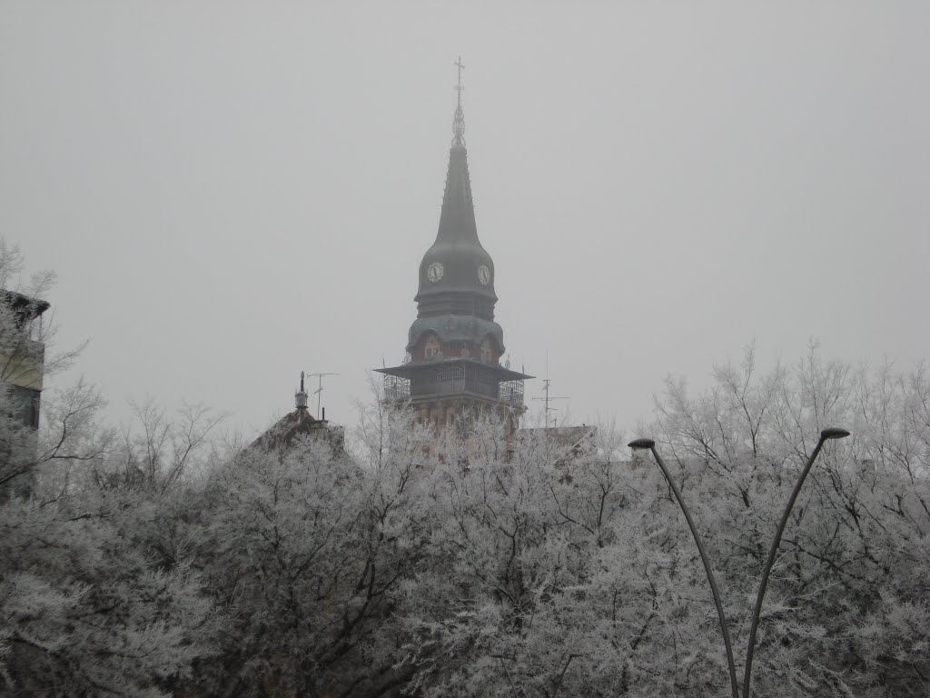 Subotica pogled na Gradsku kucu (Zima) by BlueRocket