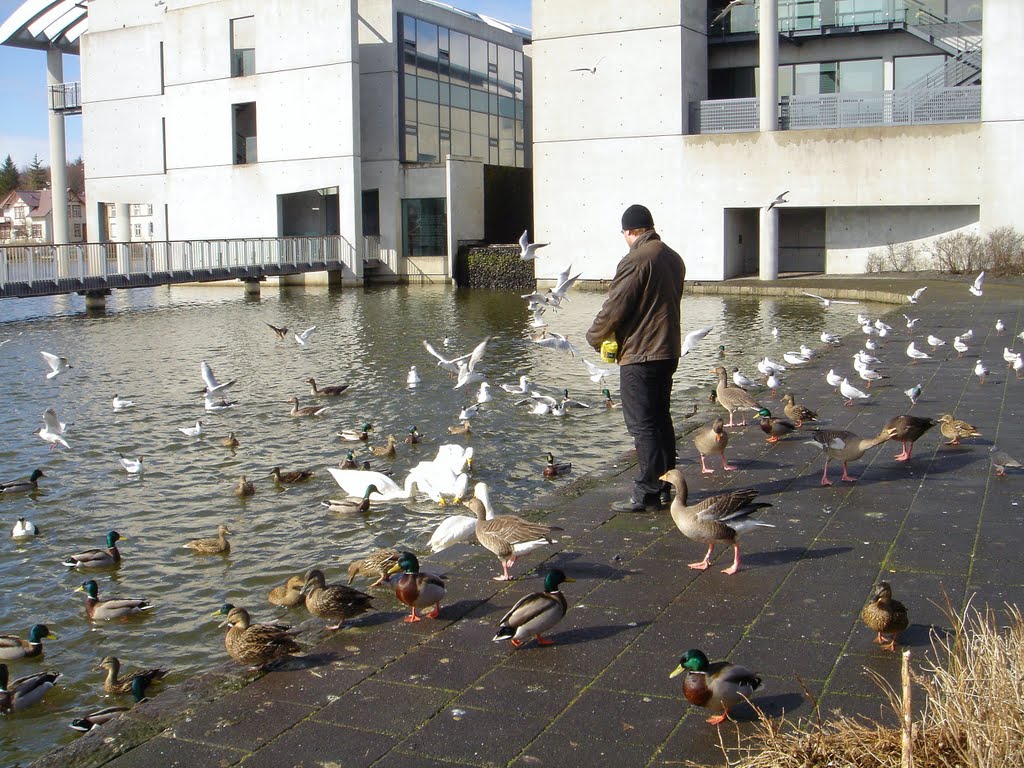 Feeding the ducks by bc_harry