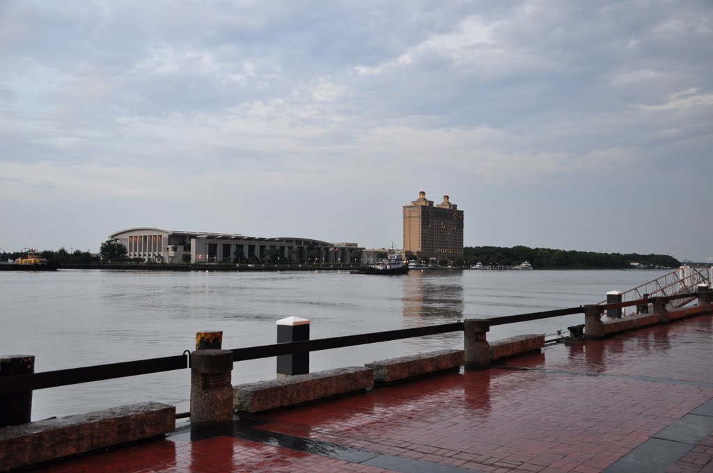 River of Savannah by Rob Bouwman