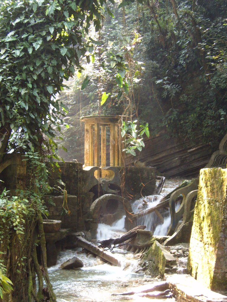 The Garden of Edward James in Xilitla. by schneidera