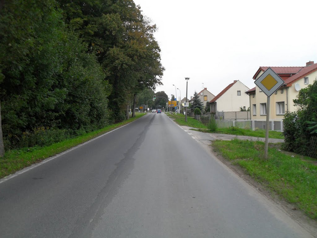 Zerpenschleuse, Prenzlauer Straße (Ortsausgang) by Klaus Brinkmann