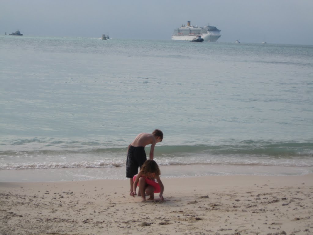 Big Ship at Fort Zackary Beach by awilson500