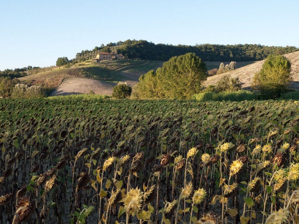 Toscane by Snijder62