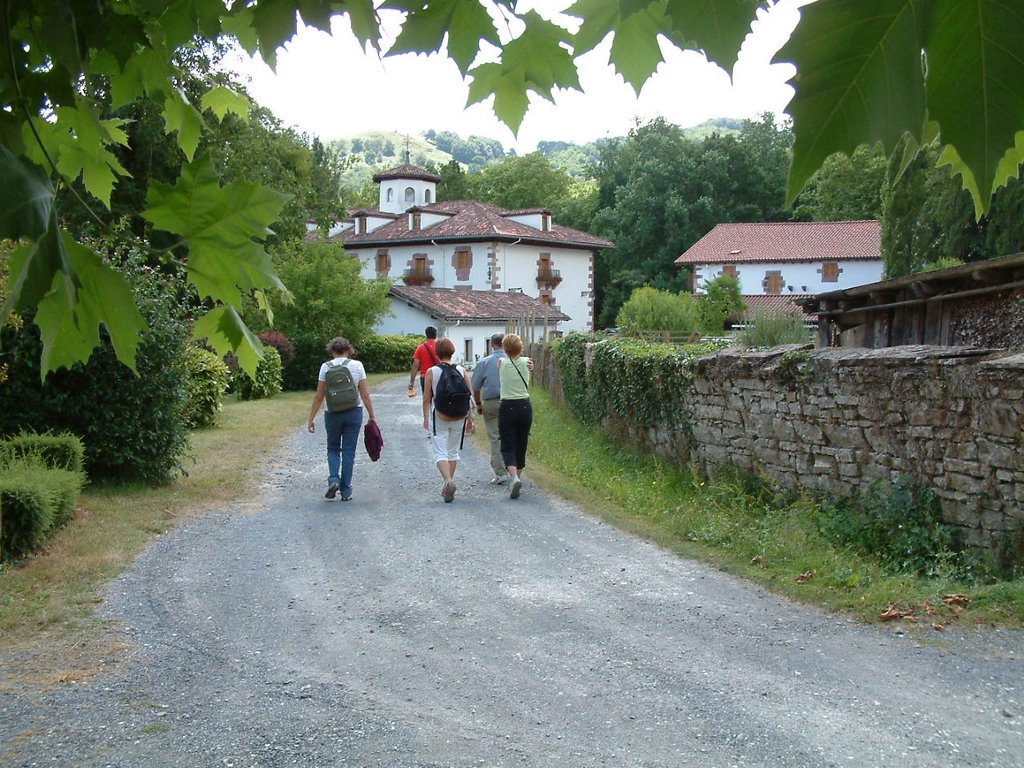 Passejant per Bertiz by Joaquim Naval