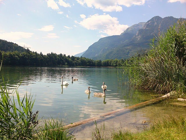 Raintaler See Kramsach im Sommer 2010 by Anton Resinger