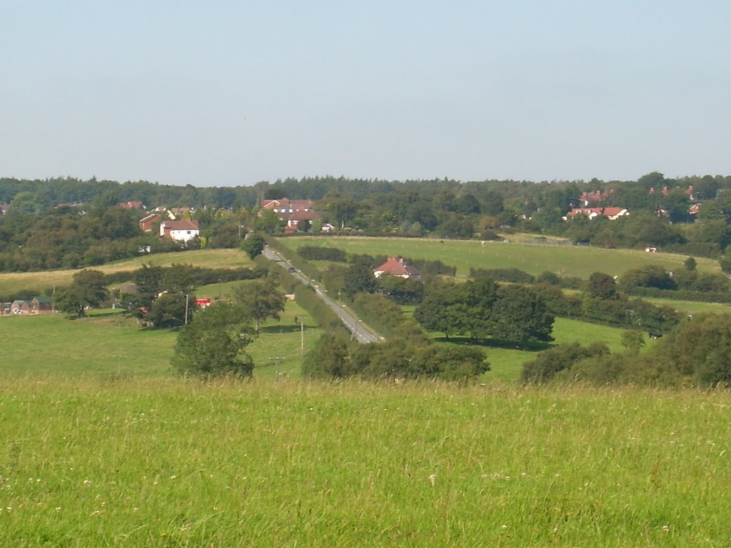 Gentleshaw common by Dave Cullen