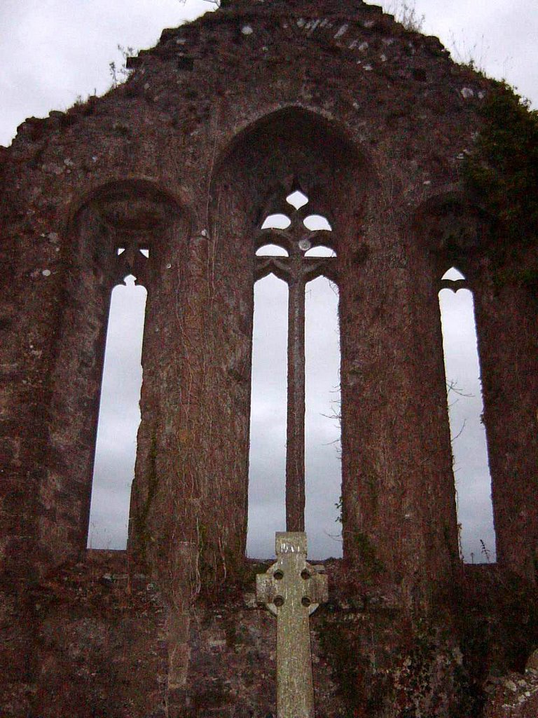 Dunbrody Abbey by longo nicola