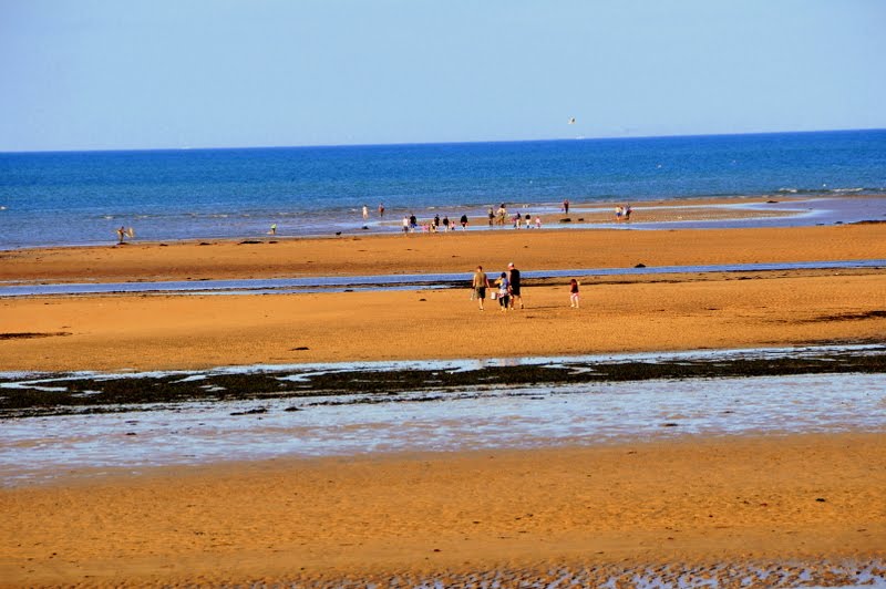 Juno Beach by Zé Tó Maximiano