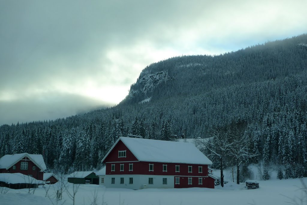 Nord-Aurdal, Norway by karleriks