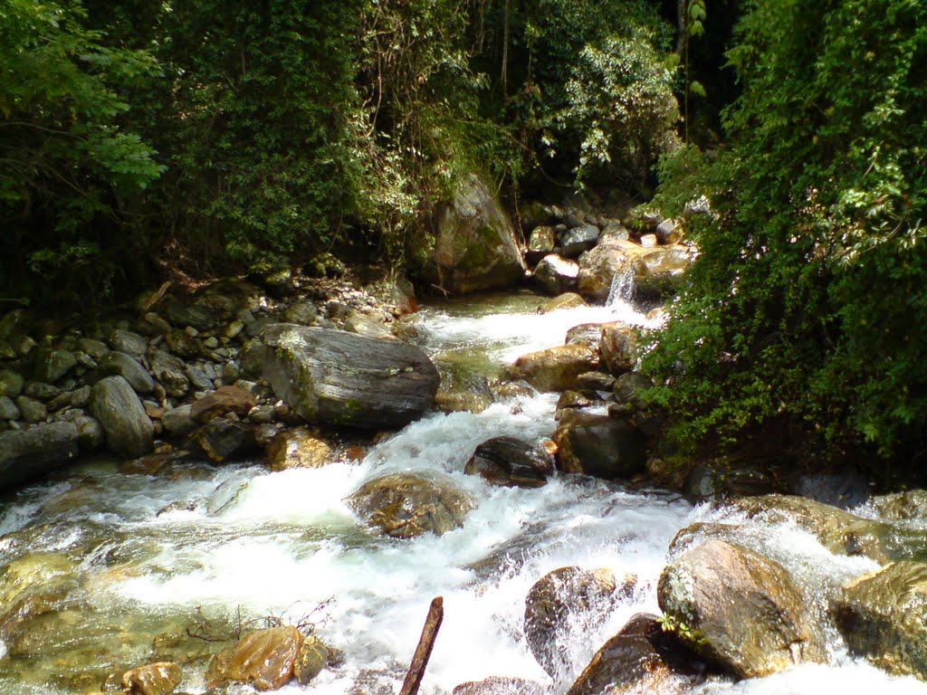 Parque La mucuy Tabay (JATG) by José Tarazona