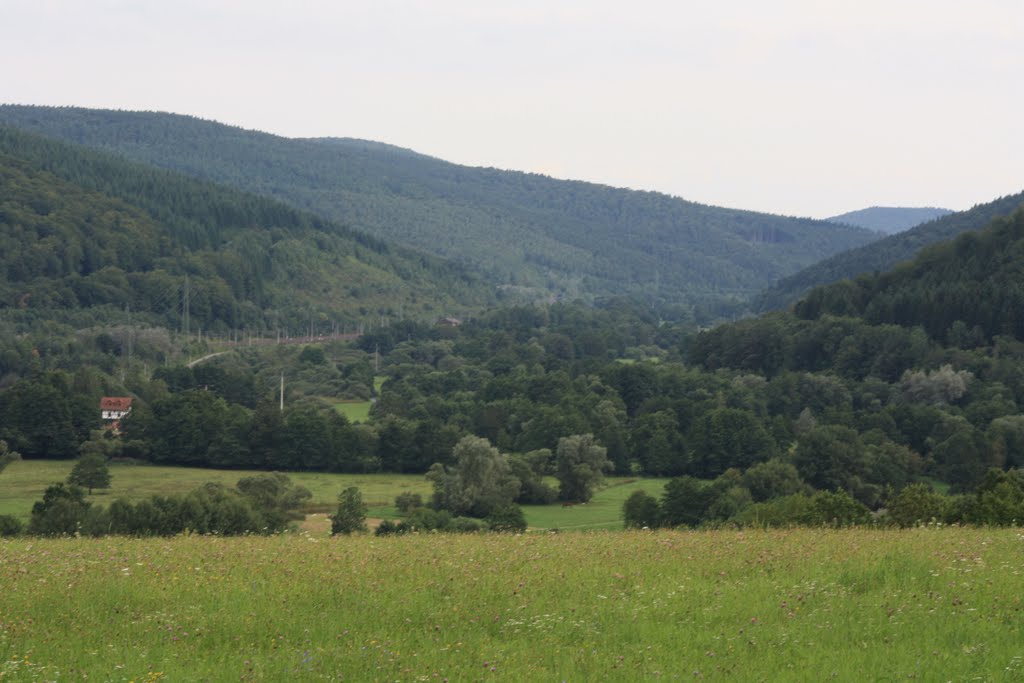 Sinngrund Richtung Süden by Guzzi