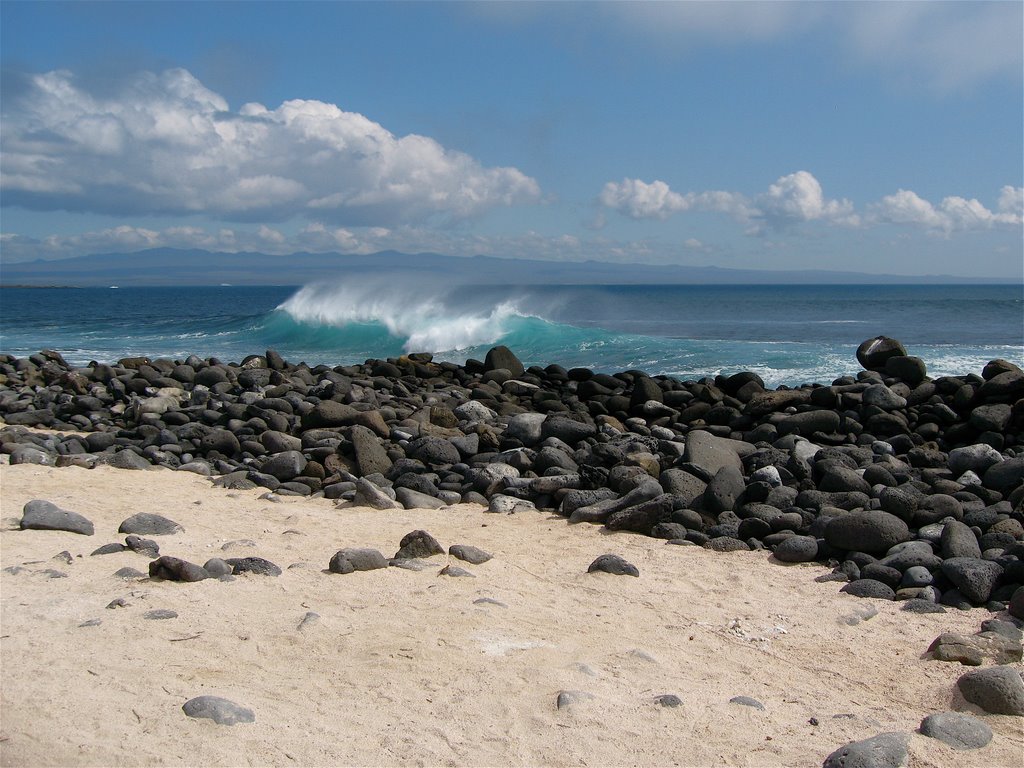 West coast, North Seymour by Paul r