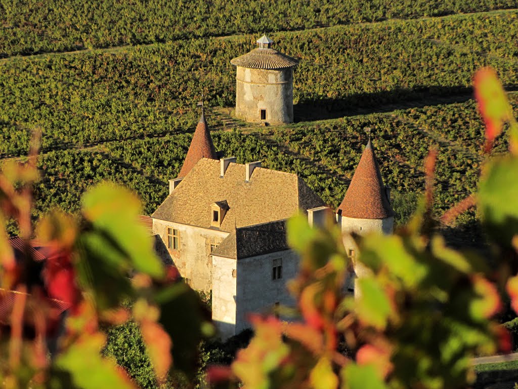 Château de La Palud by Fernand Serpol