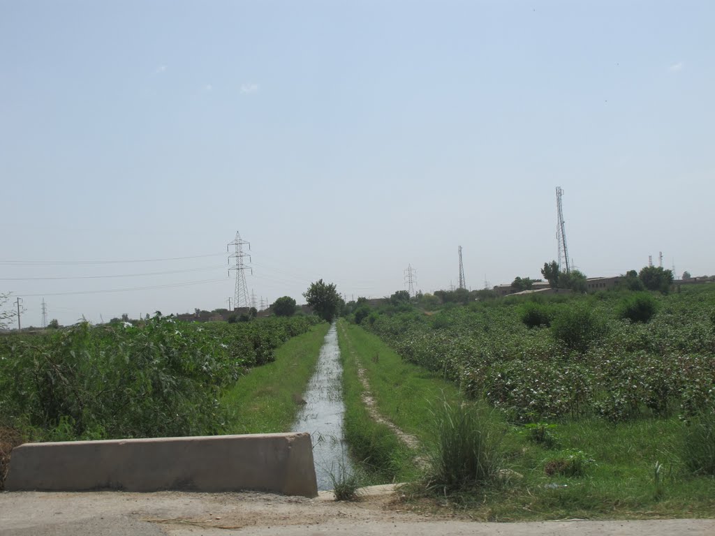 Hyderabad, Pakistan by Syed Irfan Ali Shah