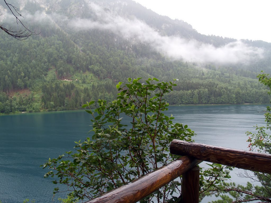 Alpsee. by Dreher Stein