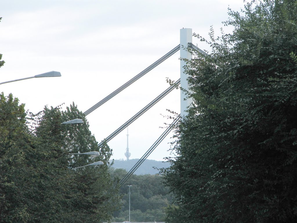 Liberty bridge and TV tower, Novi Sad, Serbia by sutilovic