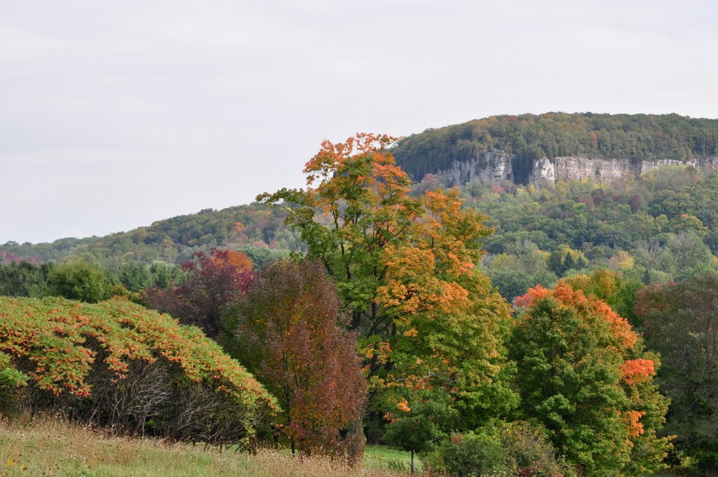 Fall in milton. by loncrockatt