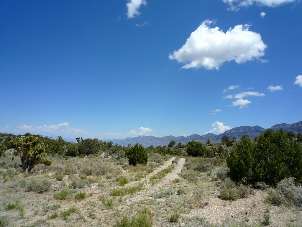 20090524, Deadhorse Road 4x4: 13 View toward Mule Deer Ridge Spur Rd from the Big Meadow by Caranzo/McConnell