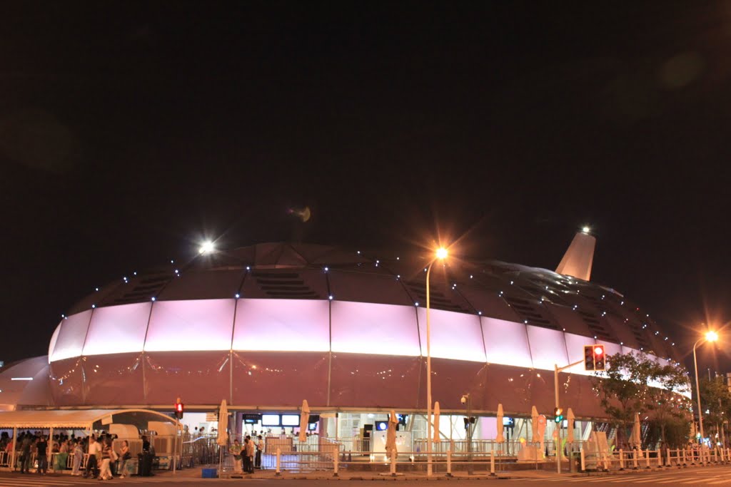 上海万博 日本館 日本馆 2-ShangHai Expo Japanese Pavilion by inu_neko