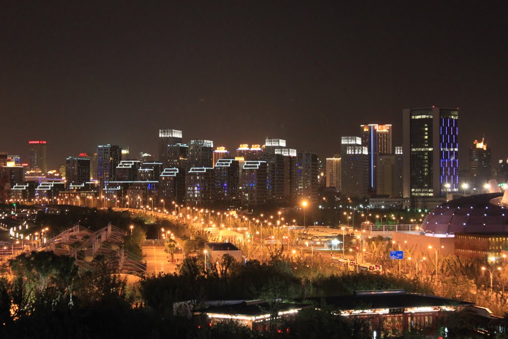 上海万博 夜景-ShangHai Night Scene by inu_neko